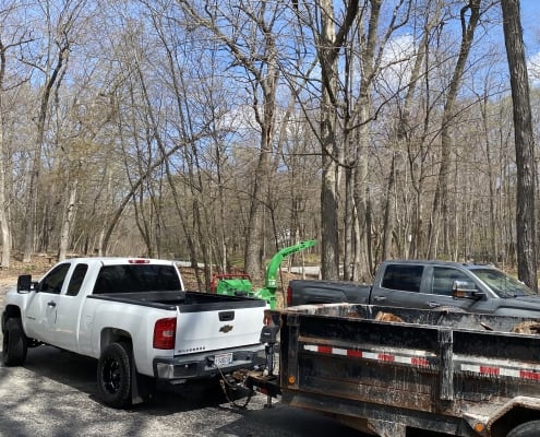 Tree removal companies Sussex WI